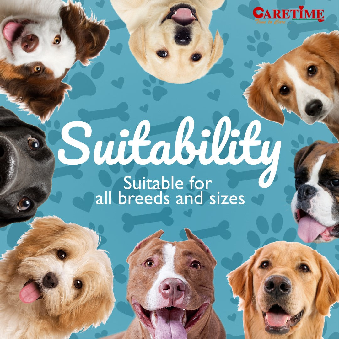 CARETIME Natural Rawhide Dog Dental Care Bone Promotes Healthy Teeth & Gums Long Lasting Chew Premium Dog Treat Healthy & Durable Dog Bones 1 kg,(Pack of 1) (28 to 31 Pieces in one Pouch)