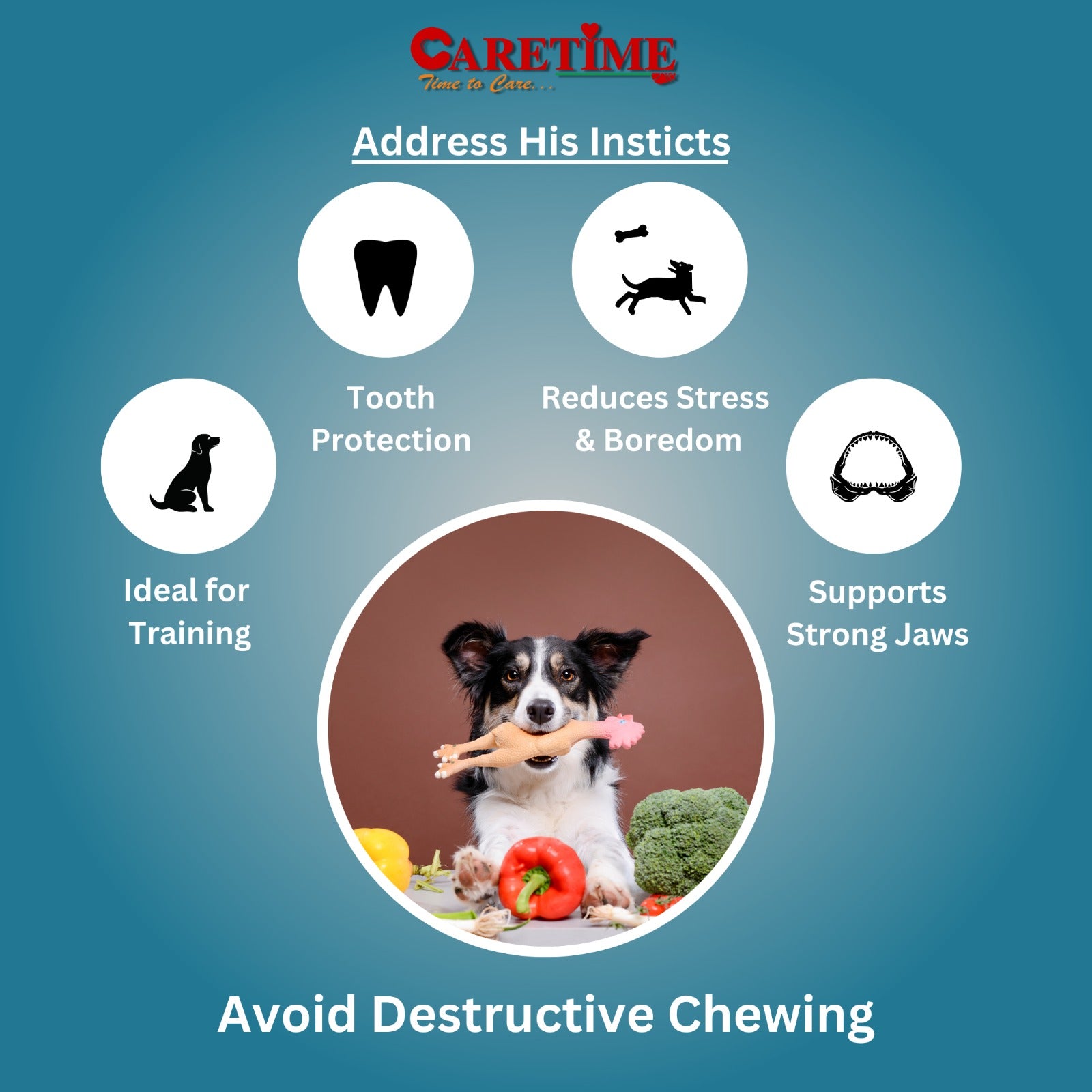 CARETIME Natural Rawhide Dog Dental Care Bone Promotes Healthy Teeth & Gums Long Lasting Chew Premium Dog Treat Healthy & Durable Dog Bones 1 kg,(Pack of 1) (28 to 31 Pieces in one Pouch)